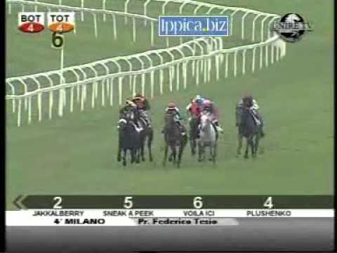 Premio Federico Tesio 2011 (GR 2)