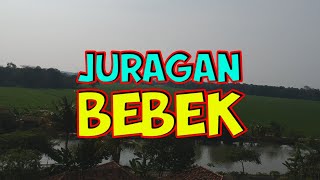 Download lagu JURAGAN BEBEK Eps 1 mp3 Download lagu JURAGAN BEBEK Eps 1 mp3
