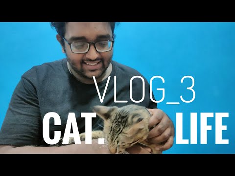 CATS LIFE | VLOG 3 | SALMON SHAJI