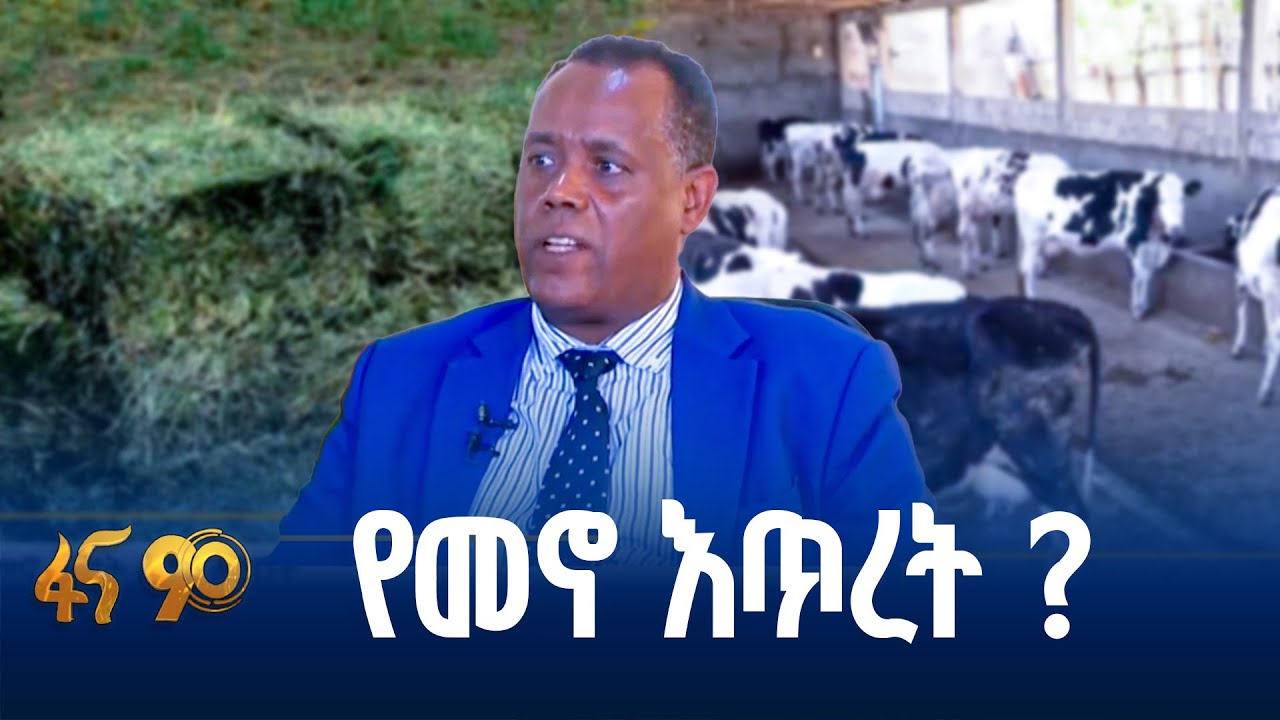 የተሻሻለ  የእንስሳት የመኖ  እየለማ ነው