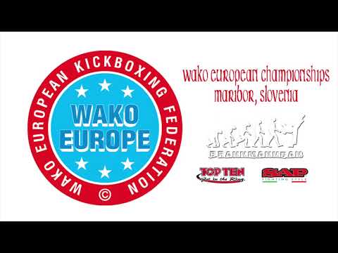 Akseli Saurama v Denis Dani WAKO European Championships 2018