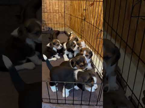 4 weeks and feeling great!