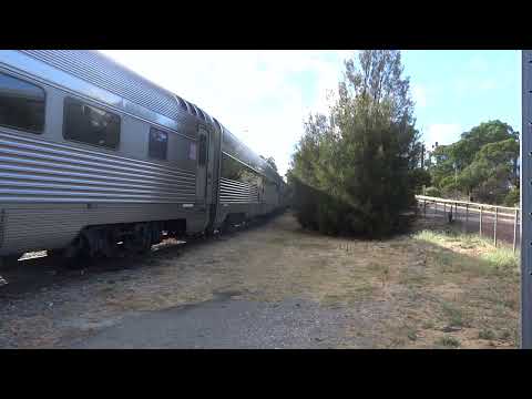 2TA8 slowly goes into Keswick with NR30 (Great Southern) + NR44 + NR74 (Ghan)