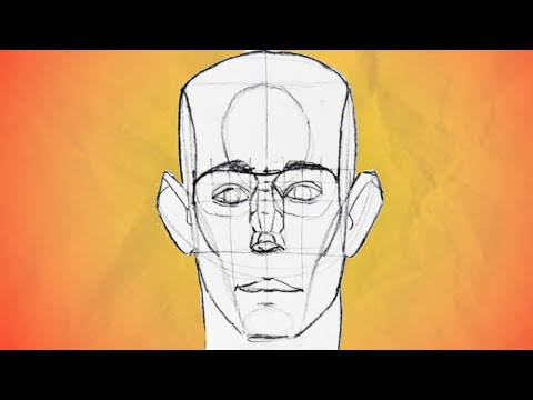 Cum Desenezi Capul + Proporții