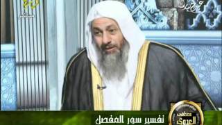 منوعات 60 تفسير سور المفصل قناة درة سورةالانفطار10 9 2011