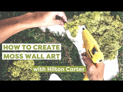 YouTube video about: How to make preserved moss wall art?
