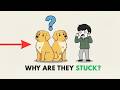 Why Do Dogs Get Stuck After Mating Dog Psychology Explained