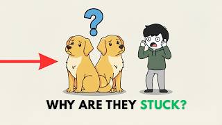 Why Do Dogs Get Stuck After Mating | Dog Psychology Explained