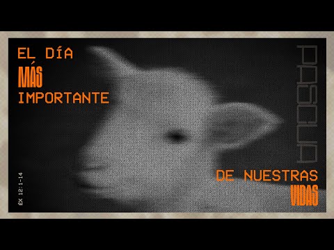 Miniatura de El día más importante de nuestras vidas