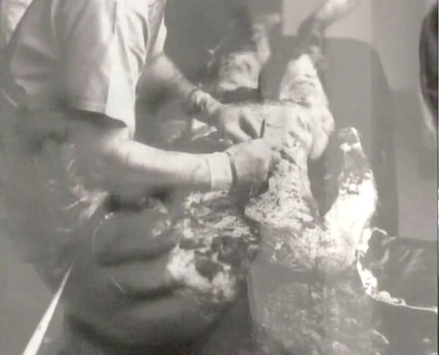 NESHOBA: THE PRICE OF FREEDOM - Official Trailer