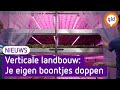 Is dit de toekomst? Wageningse studenten onwikkelen landbouw in zeecontainers