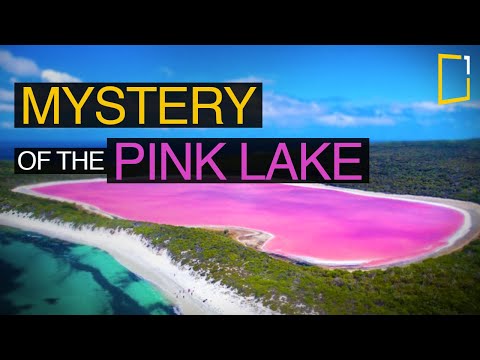 Lake Hillier | The mystery of the pink lake