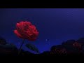atlas sound - washington school (slowed/daycore + reverb)