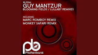 Blooming Fields (Monkey Safari Remix)