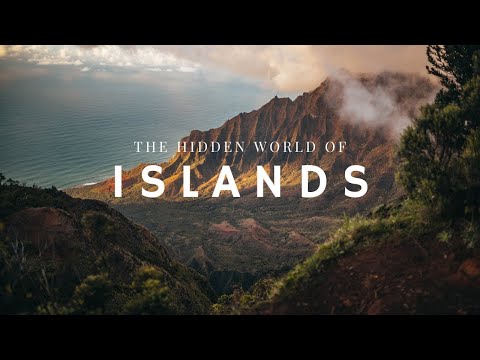 What Can we Learn About Evolution From Islands?