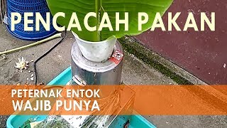 Download lagu Alat Pencacah Pakan Ternak Entok dan Ayam Kung... mp3