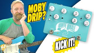 Video thumbnail for On the Hunt for MOBY DRIP! - Crazy Tube Circuits WHITE WHALE V2 - Reverb & Tremolo - #HoopJumpers by 60 Cycle Hum