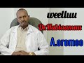 Sirboota Afaan Oromoo Haaraa 2021