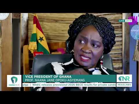 Prof. Naana Jane Warns NDC Against Early 2028 Flagbearer Debate
