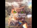 I don't wanna play basketball - Imajin ft Devanté Swing vs Erick Sermon