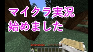 【実況】ハイテンポマインクラフト【マイクラ】