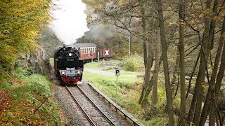 preview picture of video 'Herbstdampf auf der Selketalbahn - 99 6001 im unteren Selketal und Wellbachtal'