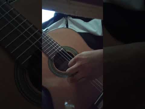 Daniel Garcia Classic Guitar All Solid Palo Escrito with Cedar Top 2025 - Laquer image 18