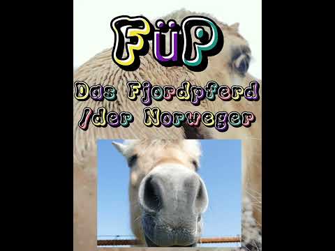 , title : 'FüP - Das Fjordpferd | Lonis_horseworld #FüP #shorts'
