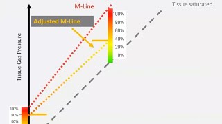 Supplemental Video 4 - GF Low, why is it so difficult? (By Veronika Sievers).