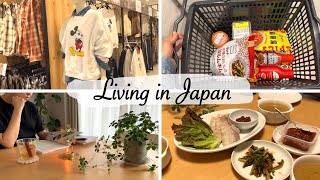 window shopping for autumn outfits, shopping at Korean market, autumn kitchen wo