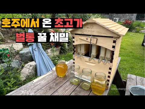 아이콘