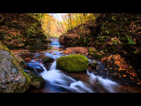 Oistrakh, Oborin - Beethoven - Violin Sonata No 10 in G major, Op 96