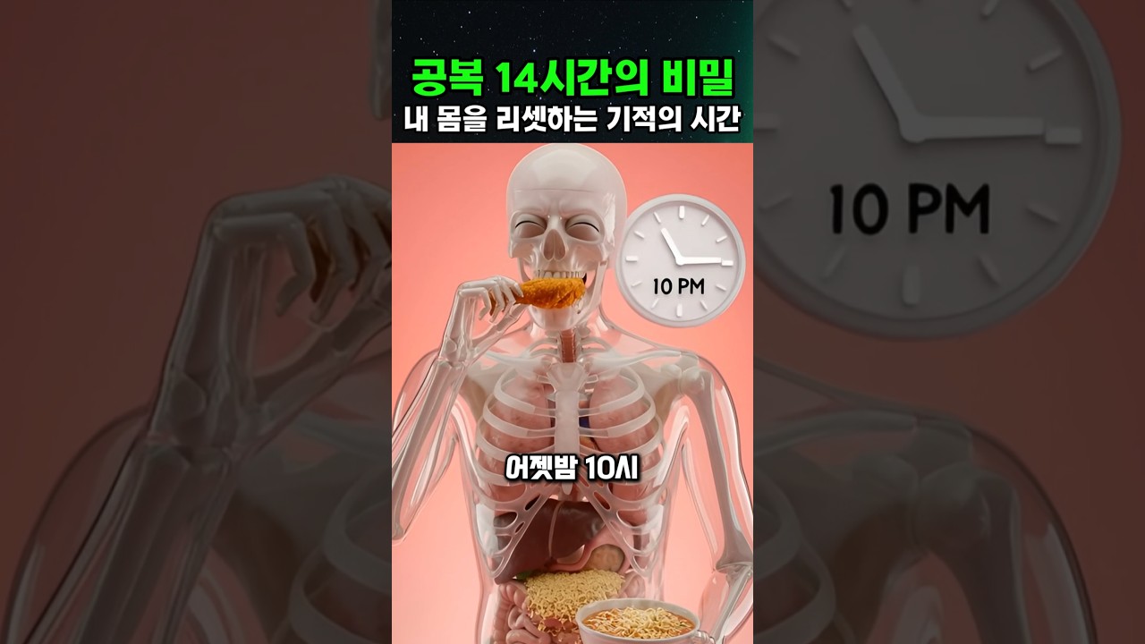 공복 14시간의 비밀 : 내 몸을 리셋하는 기적의 시간😲