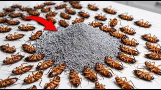 COCKROACHES DIE INSTANTLY - How To Kill Cockroaches Instantly Without Spending Money & Using Poison