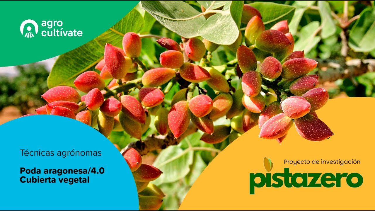 Agrocultívate - Proyecto Pistazero
