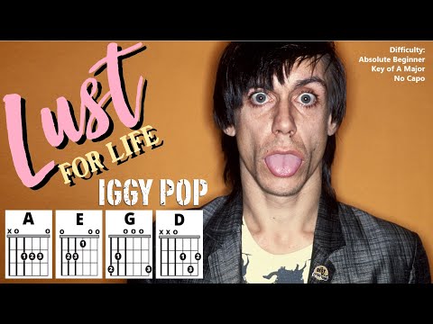 How to Play "LUST FOR LIFE" by Iggy Pop (No Capo) | Absolute Beginner Guitar Play-Along + Lyrics