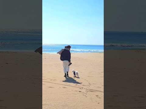 강아지동반 부산 여행 ~  #반려견동반 #maltese #dog  ❤️ #duzzi