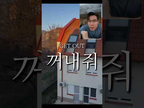 🌞Daily Life in Szeged👨‍⚕️#medstudent #szote #szeged #szote #의대생 #세게드 #일상