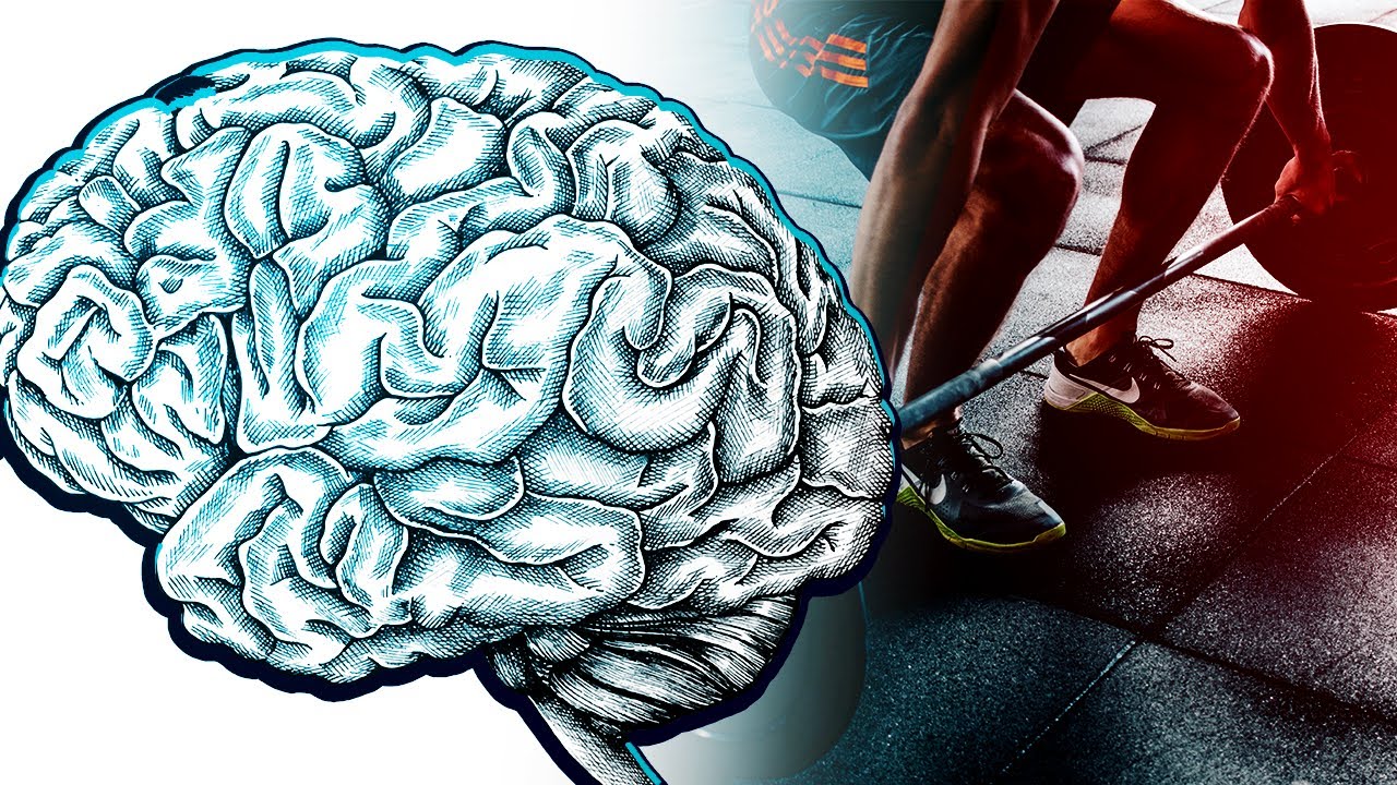 COMO O EXERCÍCIO FÍSICO MUDA O CÉREBRO?