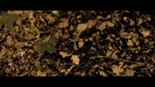 Autumn Music Video