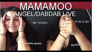 MAMAMOO(마마무) ANGEL/DAB DAB MV REACTION