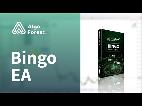 Video Bingo Standard