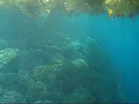 Moalboal, Moalboal & Malapascua,Philippinen