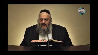 חוק לישראל - פרשת וזאת הברכה - יום שני | הרב שלמה לוינשטיין (ארגון קול הלשון) - התמונה מוצגת ישירות מתוך אתר האינטרנט יוטיוב. זכויות היוצרים בתמונה שייכות ליוצרה. קישור קרדיט למקור התוכן נמצא בתוך דף הסרטון חוק לישראל - פרשת וזאת הברכה - יום שני | הרב שלמה לוינשטיין (ארגון קול הלשון) - התמונה מוצגת ישירות מתוך אתר האינטרנט יוטיוב. זכויות היוצרים בתמונה שייכות ליוצרה. קישור קרדיט למקור התוכן נמצא בתוך דף הסרטון