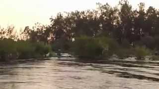 preview picture of video 'Kayaking the San Joaquin'
