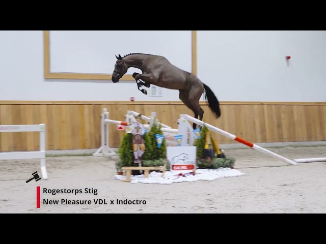 Rogestorps Stig