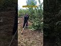 Roti Kheta Me Liya Meri Nar ️ ️ Shortsvideo Roti Jamidar Villageviral Haryanvisong Triding Viral