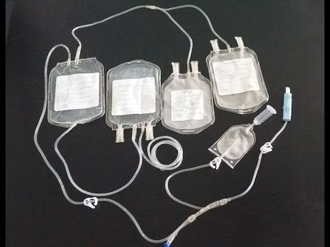 Quardruple Blood Collection Bag