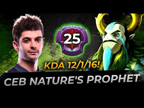 Ceb Nature's Prophet 25 lvl - Dota 2 Replay Full Gameplay