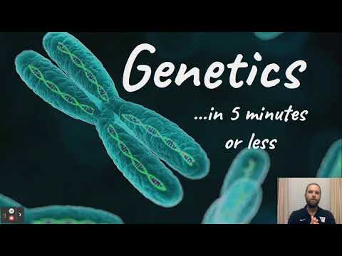 5 min Biology: GENETICS